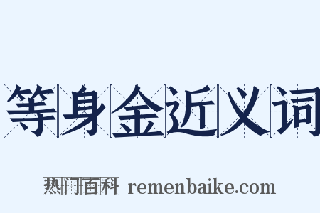 等身金近义词是什么意思的图片